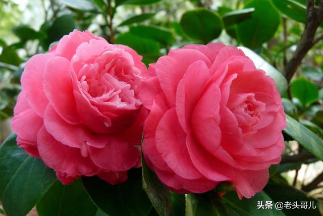 何为婚姻？婚姻应该是怎么样的？