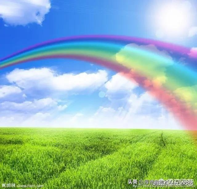 七王有断证功德,便以七彩之光为道登成就(即大圆满虹化),故称为″天赤