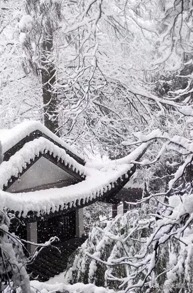 冬天的雪非常漂亮,谁能用诗词写一写,赞美下？
