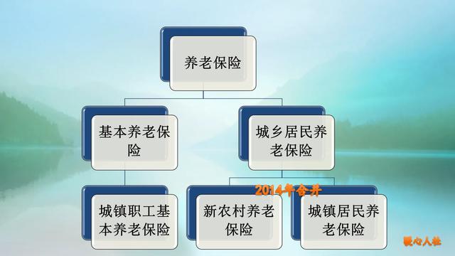 趸交,有哪个省养老金可以趸交？