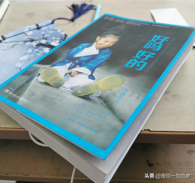 阳光快车道主持人:为什么有人觉得山东卫视没有好的主持人？