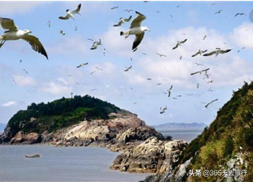 江苏自驾游海边线路:从苏州自驾到浙江哪里看海好？