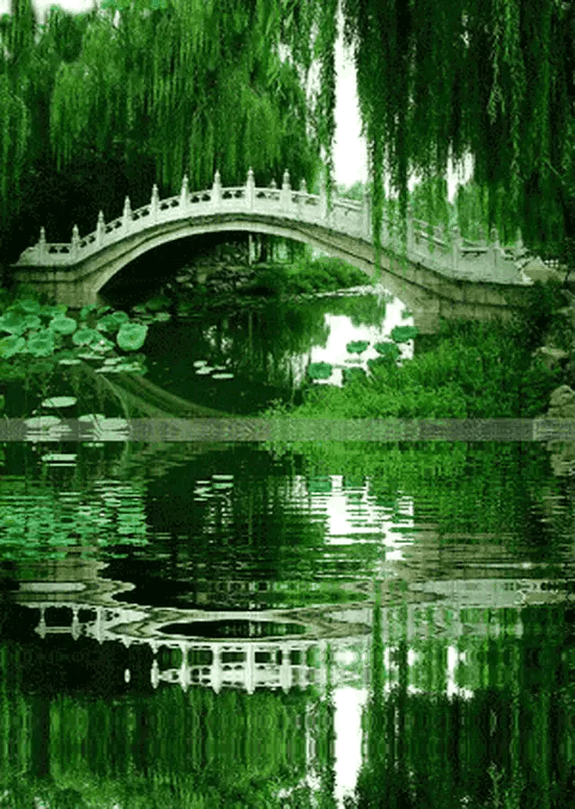 《咏柳》这首诗描写的是什么？春天里什么的样子？:咏柳是一首什么诗 第5张
