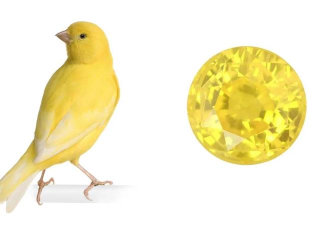 蓝宝石哪些人不宜戴,蓝宝石葡萄优缺点是什么？都有哪些品种？