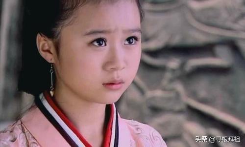 安犬:霍光的女婿上官安，怎么评价这个人？