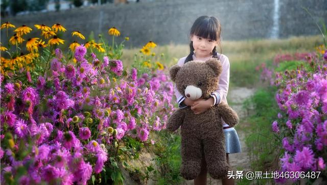 八公犬物语在线观看:摄影“尼康”党们，是什么原因让你当初选了尼康？