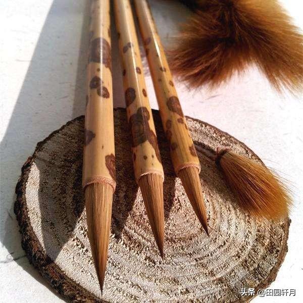 人工繁殖小懒猴:既然穿山甲这么有市场，人工养殖穿山甲可行吗？