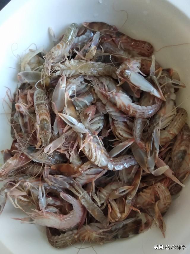 大虾里面有寄生虫不能吃？，煮虾不去虾线，吃下去会有寄生虫啊？