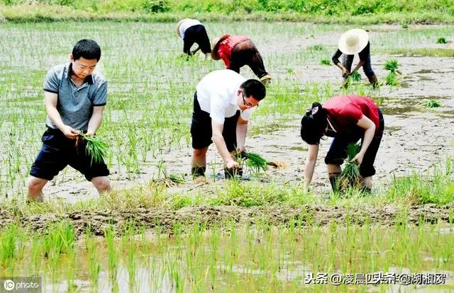 三农问题的根本在于什么？