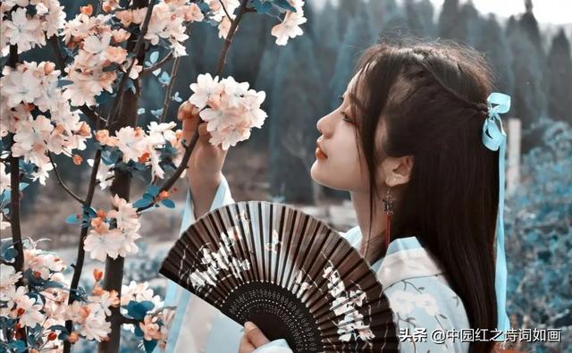 有哪些适合表白或写给恋人的歌词或诗句？
