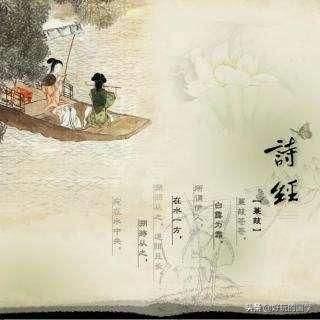 “青青子衿，悠悠我心”是什么意思？:心潮澎湃什么意思 第2张