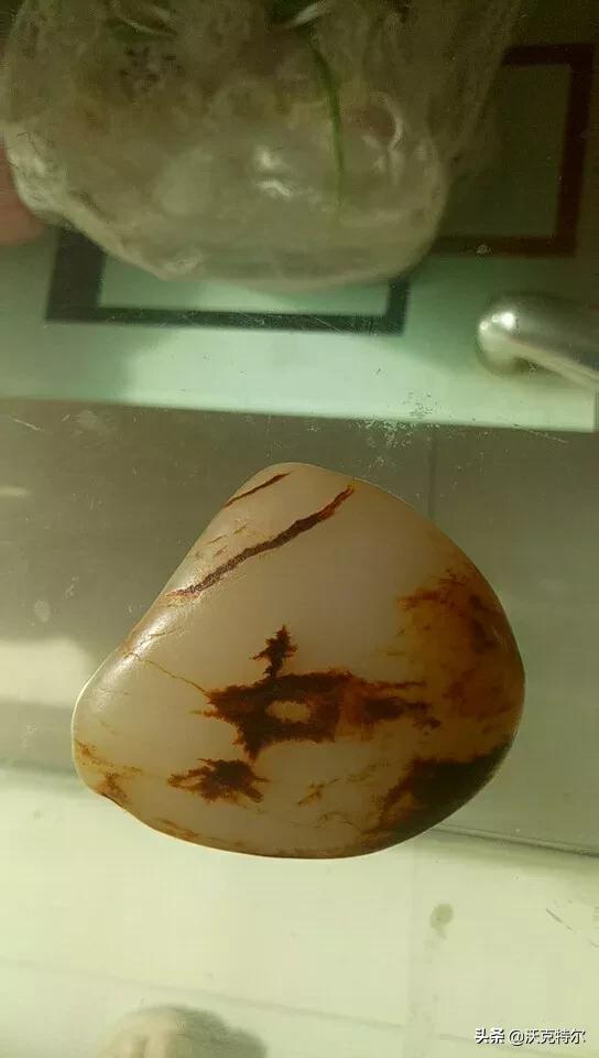 怎么看真假和田玉,和田玉贵吗？怎么分辨真假和田玉？