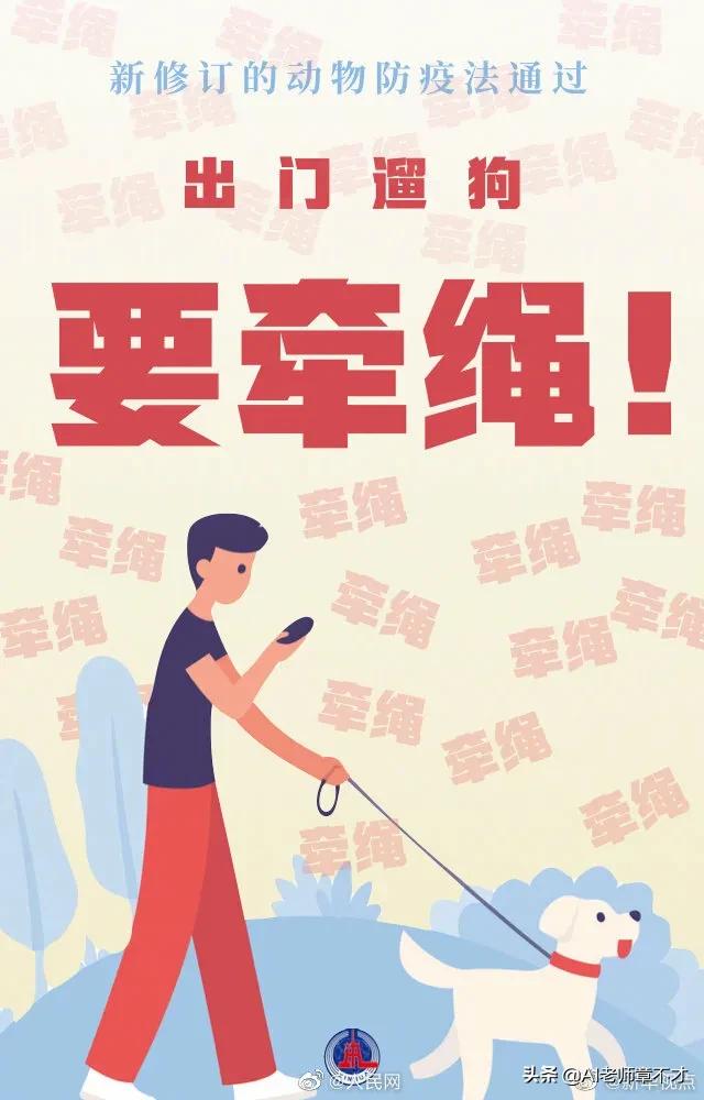 小孩狗:狗怎么分得清大人和小孩？ 小孩狗咬了多长时间打针有效