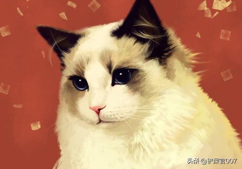 布偶猫吧的人有病: 布偶猫总是得猫癣，布偶猫的猫癣很常见吗？