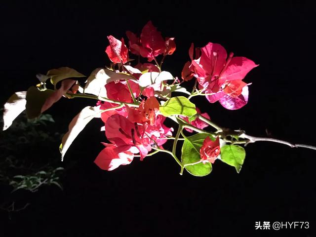 对一切都看淡,不想说话,不想理人,以前在意的事情不再计较,工作不顺以前会抱怨现在也停止了,怎么回事？