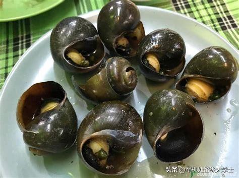非洲巨蜗牛:蜗牛属于爬行动物还是属于软体动物为什么