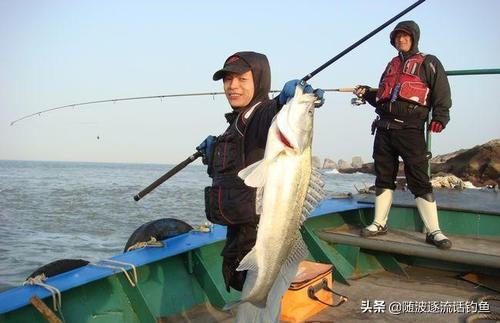 半米长的海鱼都有哪些图片:海钓鲈鱼什么时候最好？为何？