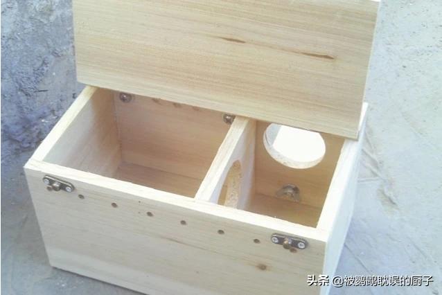 虎皮鹦鹉拉肚子粪便图:虎皮鹦鹉为什么在窝里拉屎？该怎么办？