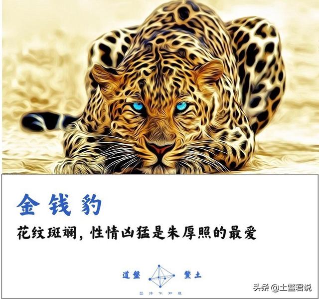 努洛伊曼皇宫:明武宗行事荒诞还建了豹房，是真的吗他想做什么