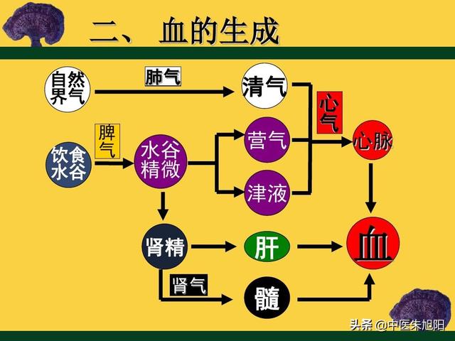 血虚的人有哪些表现，血虚发躁的“躁”，在身体上是什么样的症状