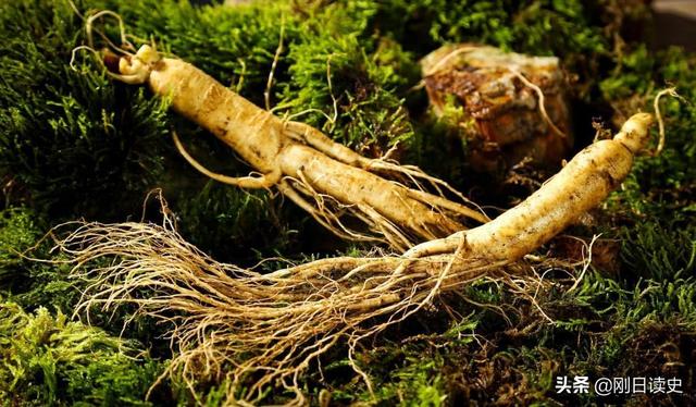 曹雪芹家族被抄家时，总共查抄了多少家产？插图32