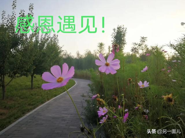 职业学校最受欢迎的专业是什么？插图8