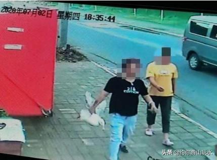 带宠物鸭扫大街萌坏路人:王珞丹发文寻鸭事件：你看到了哪些本质的东西？