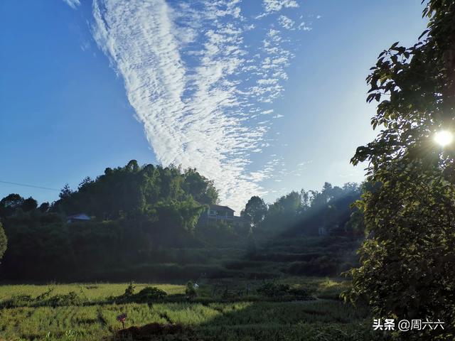 坟墓风水宝地形状,为什么人头墓会一直在长大？