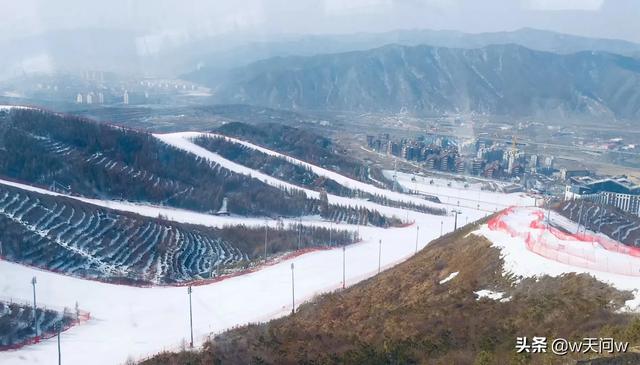 用雪堆成的小狗狗图片:你还记得小时候关于雪的故事吗？是怎样的呢？