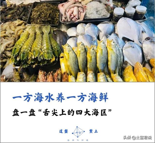 龙趸王:中国四个海哪个海里的海鲜好吃，为什么