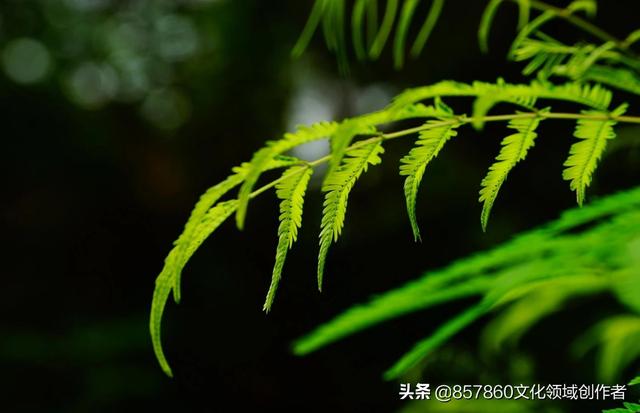 这些年有哪些最让你难忘的纯<a href=https://maguai.com/list/43-0-0.html target=_blank class=infotextkey>音乐</a>