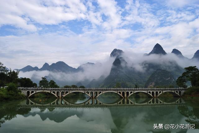 广西土松狮吧:有懂狗的吗，请问这是什么狗？