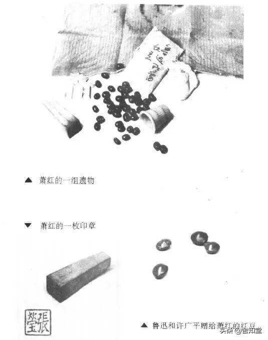 许广平简介:北京导游说鲁迅夫人是朱安，上海导游说夫人是许广平。谁说的对？