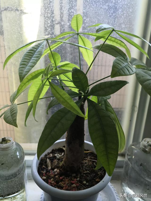 网络赌博的可怕之处在哪里？