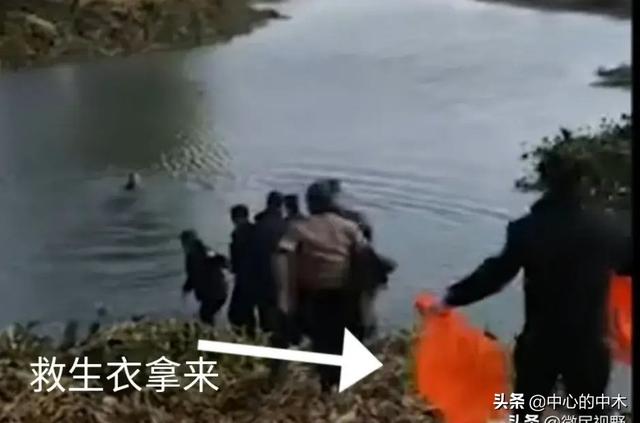 新几内亚歌唱犬灭绝半世纪:那些说自杀不应该救的是一种什么心态，难道自杀真的不应该救吗？