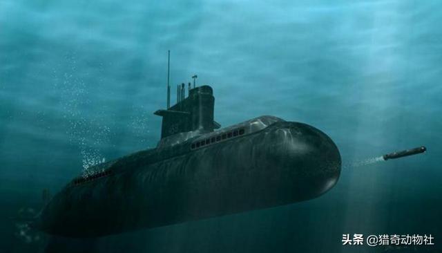 为什么抹香鲸可以在深海几千米下生存,潜艇就得被压扁呢？