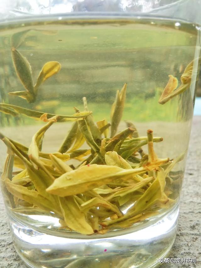 喝绿茶有哪些好处:绿茶什么时候喝比较好，喝哪种