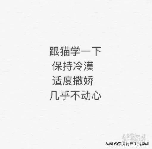 世界四大时装周:哪个网站可以看四大时装周完整版的秀场完整的品牌？
