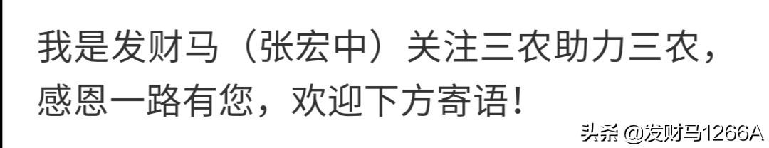 猪弓形体病症:猪弓形体病的症状及治疗方法 猪便秘拉黄尿不吃食是什么病?我家猪也是一样的？