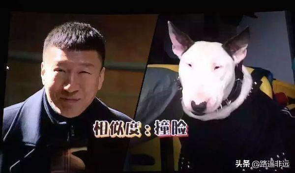 范冰冰未ps照片:为什么金星毒舌揭露娱乐圈的种种没人管