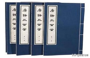 年至半百,依旧参悟不透人生,想学一下古典文学,学习什么最好呢？