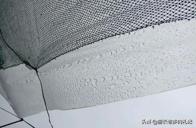 魔南景天夏季落叶怎么办:多肉植物法师如何度过炎炎夏日？