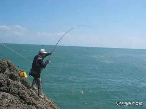 深海巨腹鱼在哪钓:秋冬海钓如何选钓点？用沙蚕还是小虾钓？
