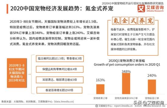 中国松狮行业的发展:宠物行业未来的发展方向在哪里？