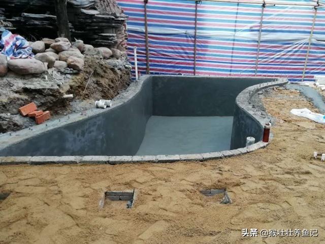 024观赏鱼自由交易车安全:养锦鲤，锦鲤鱼池出水口一般设置多高？
