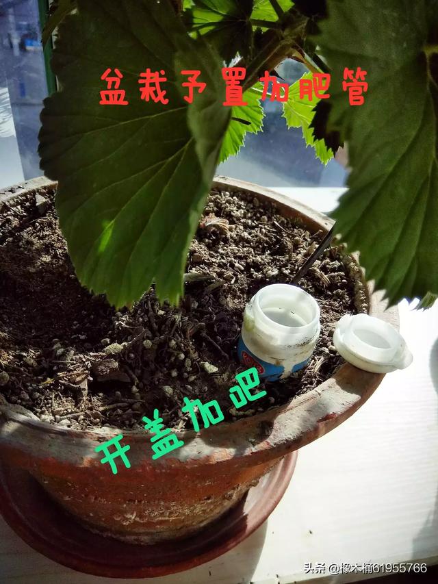 发酵吧创业君，生意难做，创业失败，负债累累，想上岸者抱团取暖怎么样