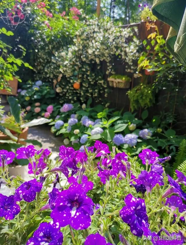 家住别墅是什么样的感觉？插图106