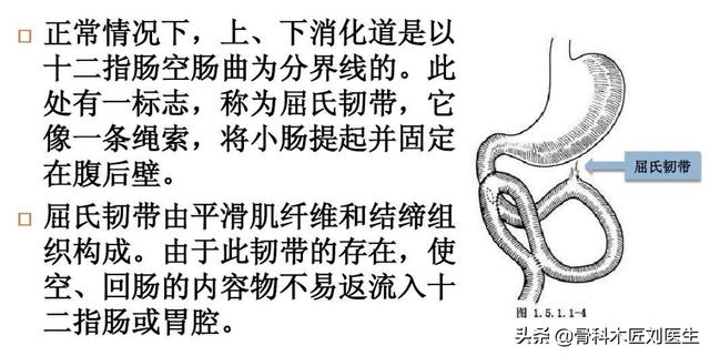 大便拉血:大便拉不出来拍三下 大便拉血怎么治疗？是不是痔疮，可以根治吗？