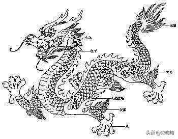 中国第一条龙在河南，中国五千年文化龙的图腾是怎么演化来的