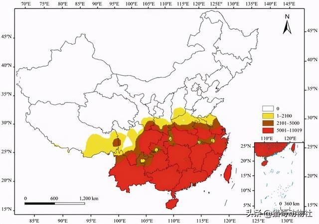 法老蚁咬人:红火蚁屡次杀人！夏季特别活跃，被咬了怎么办？